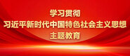 美女操B网站学习贯彻习近平新时代中国特色社会主义思想主题教育_fororder_ad-371X160(2)